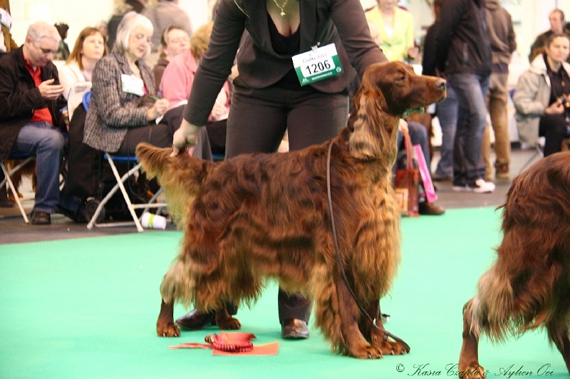 Crufts2011 447.jpg